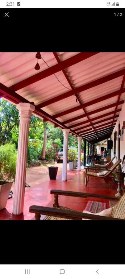 Lake House Homestay Anuradhapura Exterior photo