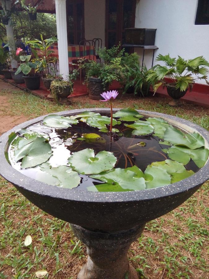 Lake House Homestay Anuradhapura Exterior photo