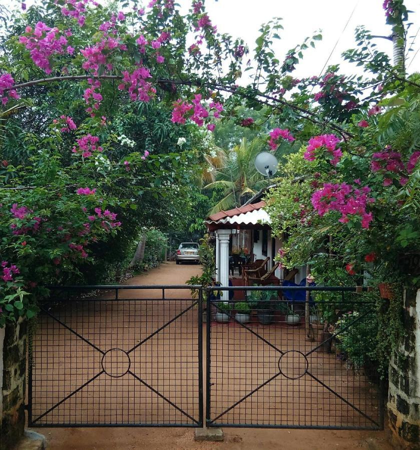 Lake House Homestay Anuradhapura Exterior photo